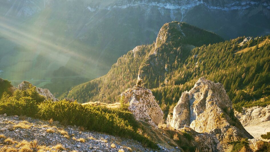 Herbstsonne auf der Rax | © Naturpark Mürzer Oberland, Andreas Steininger