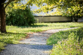 Weg zum wilden Früchtchen im Rogner Bad Blumau | © Rogner Bad Blumau