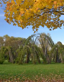Willow construction - autumn | © Kurkommission Bad Blumau | Jennifer Rath | © Kurkommission Bad Blumau