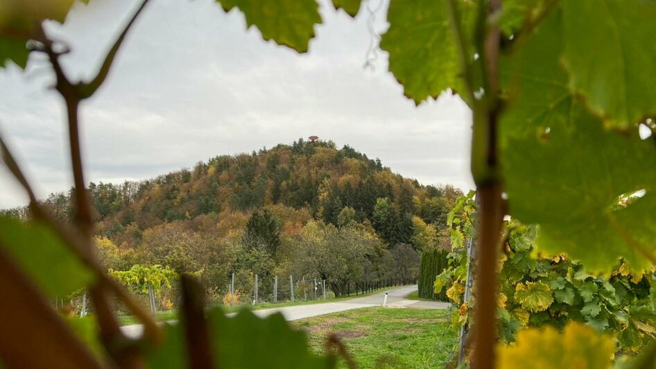 Wunderbarer Ausblick | © Obsthof Peitler