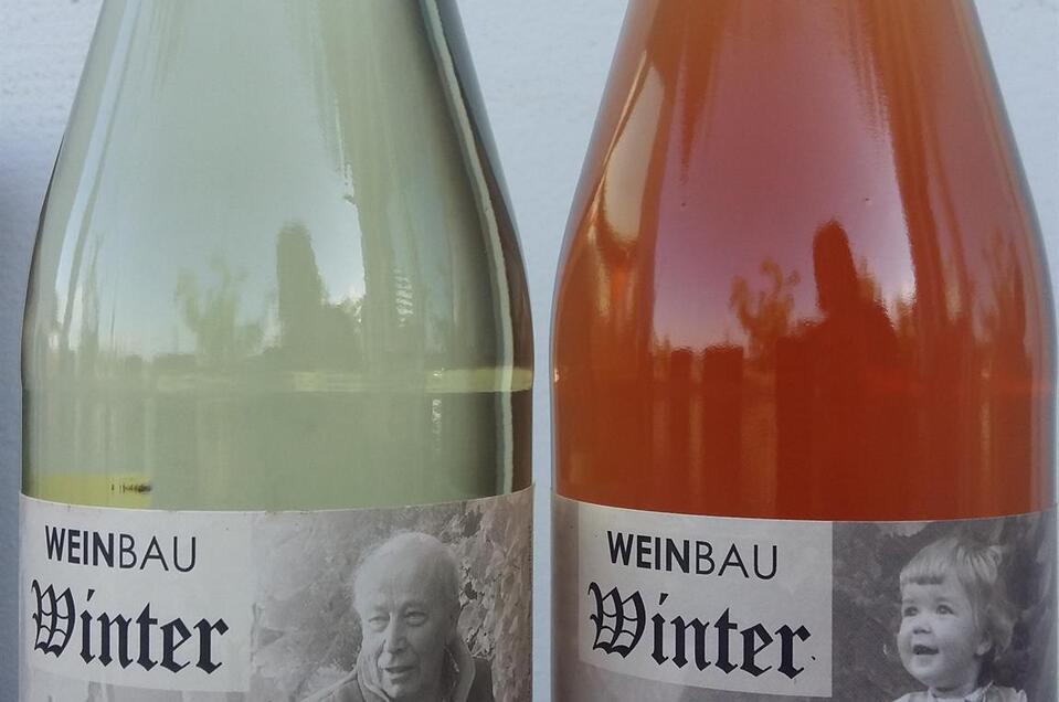 winery Winter in Straden - Impression #1 | © Weinbau Winter