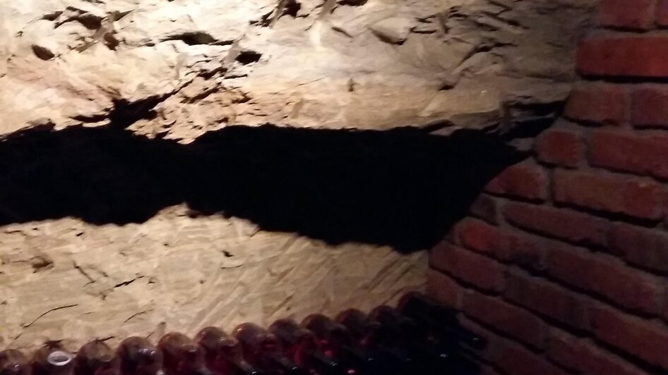 winery Winter in Straden - Impression #2.1