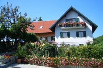 Buschenschank Trunk_10 | © Trunk