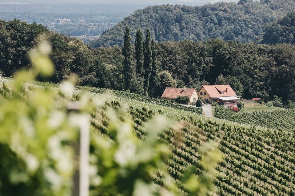 Weingut Trummer am Obegg - Impression #1 | © Heldentheater