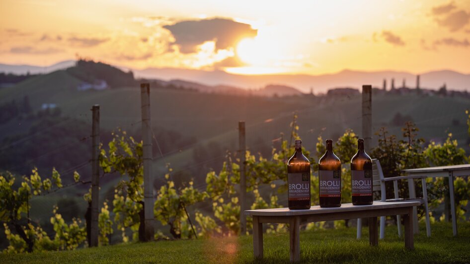 Weingut Brolli - Arkadenhof - Impression #2.5