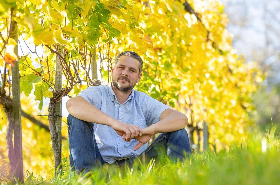 winery Edi Tropper - Bio Winzer in Straden - Impression #1 | © Tropper Bio Weine