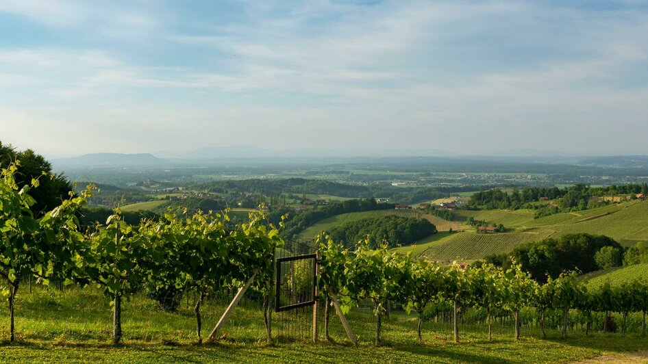 Buschenschank Gallunder Ausblick ins Weinland | © Buschenschank & Weingut Gallunder