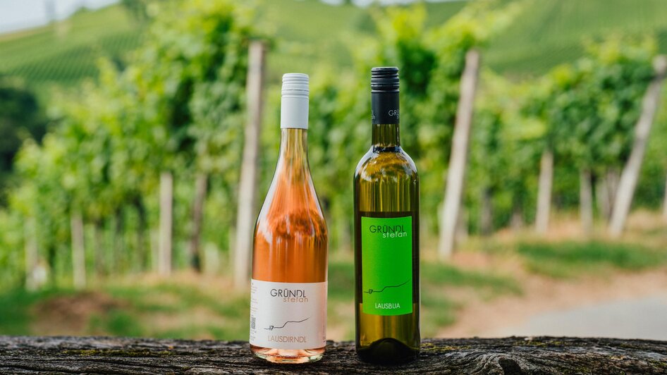 Imagefotoshooting_2024©MichaelaLorber-02639