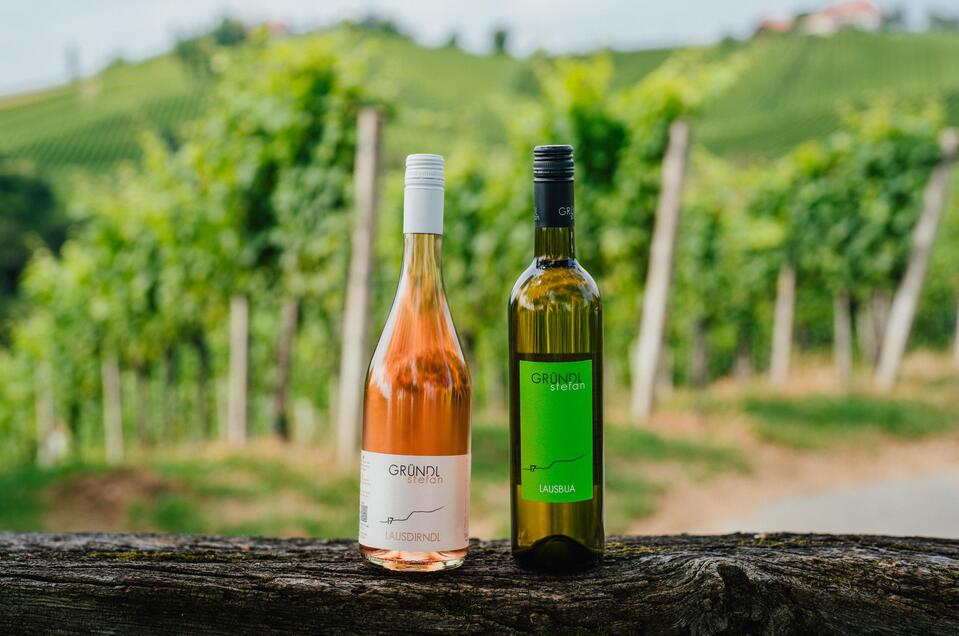 Weingut Gründl - Labuttendorf - Impression #1