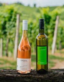 Imagefotoshooting_2024©MichaelaLorber-02639 Imagefotoshooting_2024©MichaelaLorber-02639