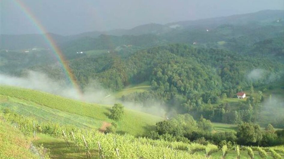 Weingut Gradisnik Regenbogen | © Weingut Gradisnik l Franz Gradisnik