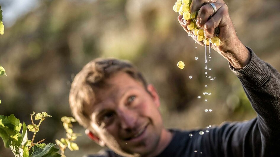 weingut_holger_hagen_suedsteiermark_steiermark_weg | © Weingut Holger Hagen