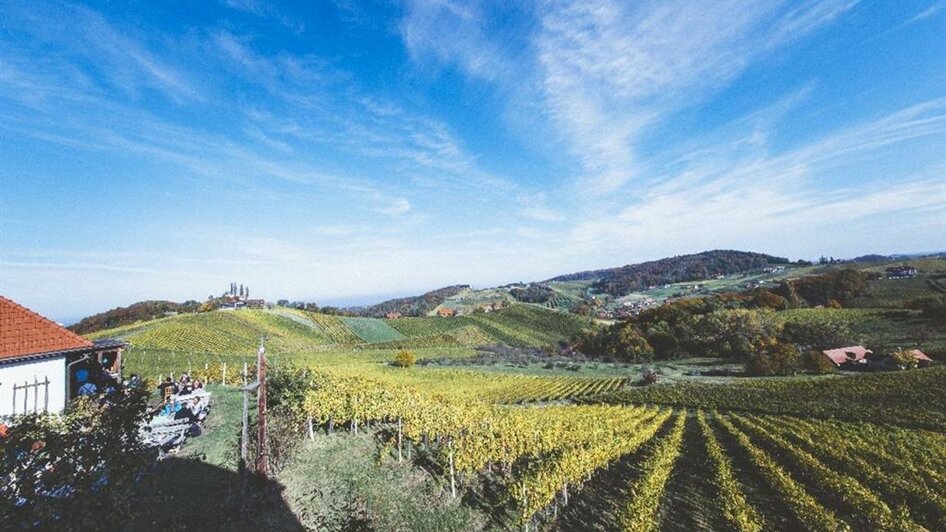 Ausblick über die Ratscher Weinberge | © Weingut Kögl