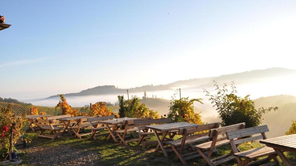 Weingut Kögl (18) Weingut Kögl (18)