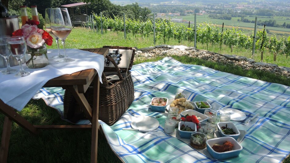 Picknick im Weingarten Kapper | © The Schubidu Quartett