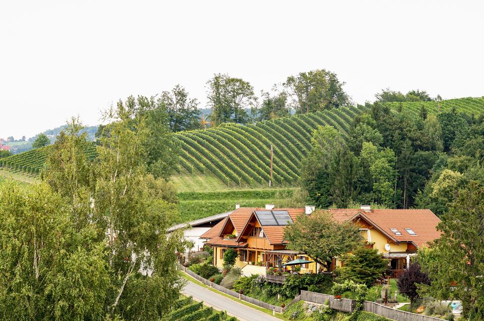 Weingut Klapotetzhof Silberschneider - Impression #1 | © Alois Stingl | Klapotetzhof Silberschneider