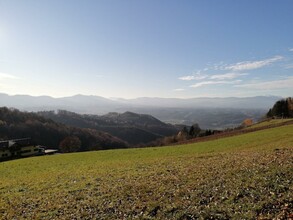 Buschenschank Klopfer-Glaserkeller | © Weingut Klopfer