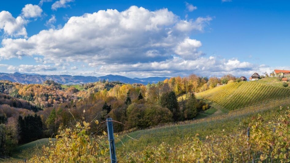 Panorama_Klug (Groß)