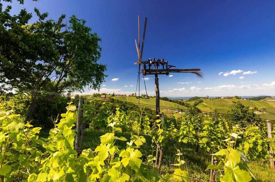 Weingut Kofler Dr. Jutta Kofler - Impression #1 | © Harry Schiffer