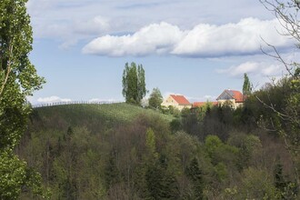 Weingut Muster | © Weingut Muster l Maria & Sepp Muster