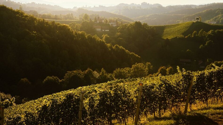 NeueHeimat Landschaft | © Martin Stöbich