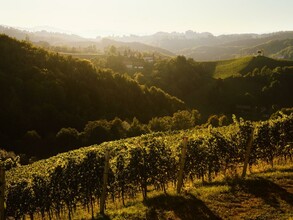 NeueHeimat Landschaft | © Martin Stöbich