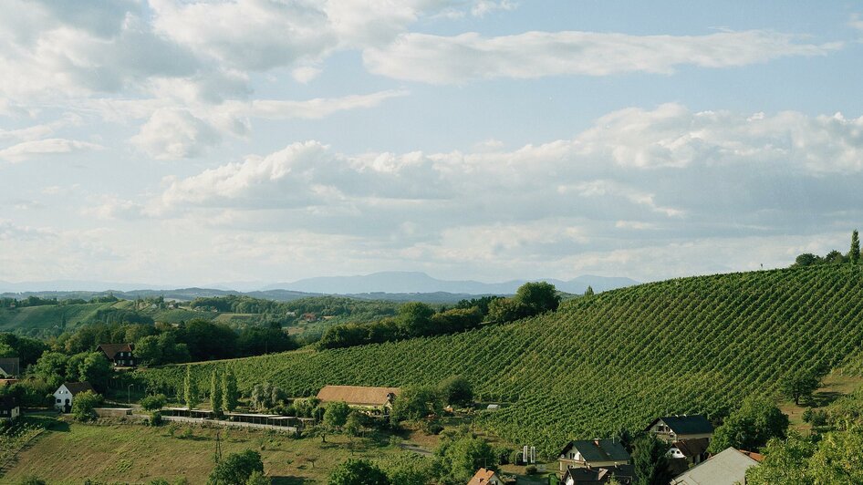 Ried Saziani | © Weingut Neumeister