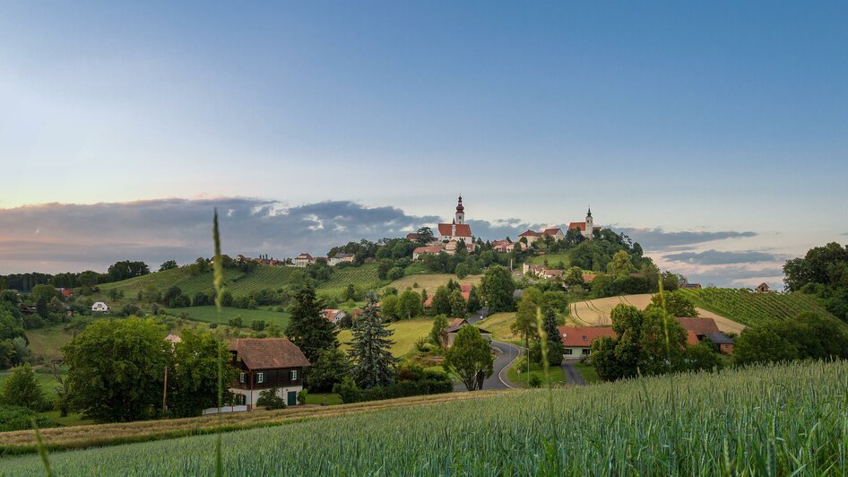 Ried Steintal | © Weingut Neumeister