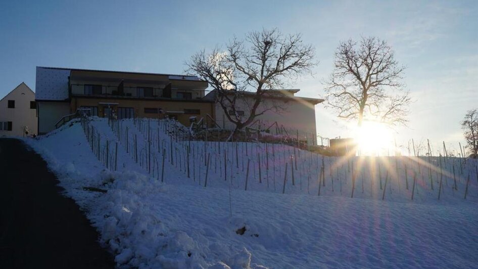 Weingut Perner Winter | © Weingut Perner | Isabella & Anton Perner