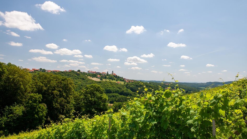 winery Pfeifer in St. Anna/A. - Impression #2.3