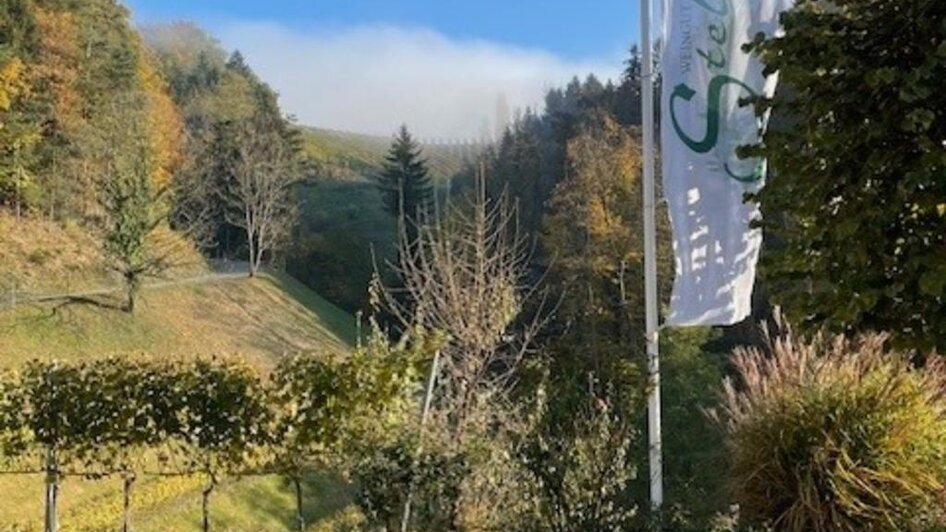 Weingutz Stelzl | © Weingut Stelzl