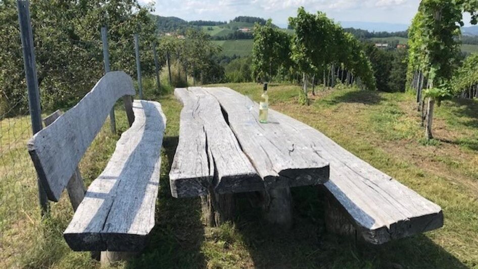 Weingarten | © Weingut Stelzl