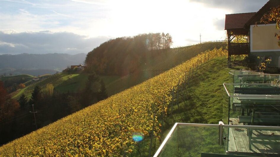 weinwalk_aussicht | © Familie Sternat | Weingut Sternat