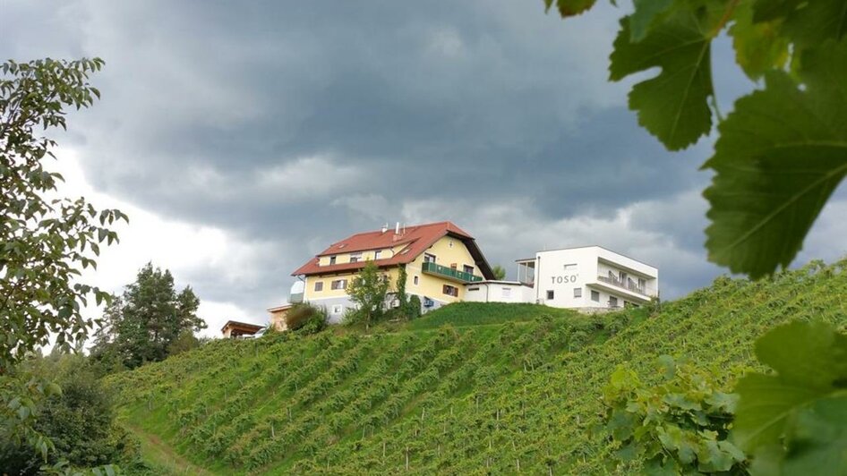 Weingut Toso Hausansicht | © Weingut Toso l Stephan & Matthias Krainer