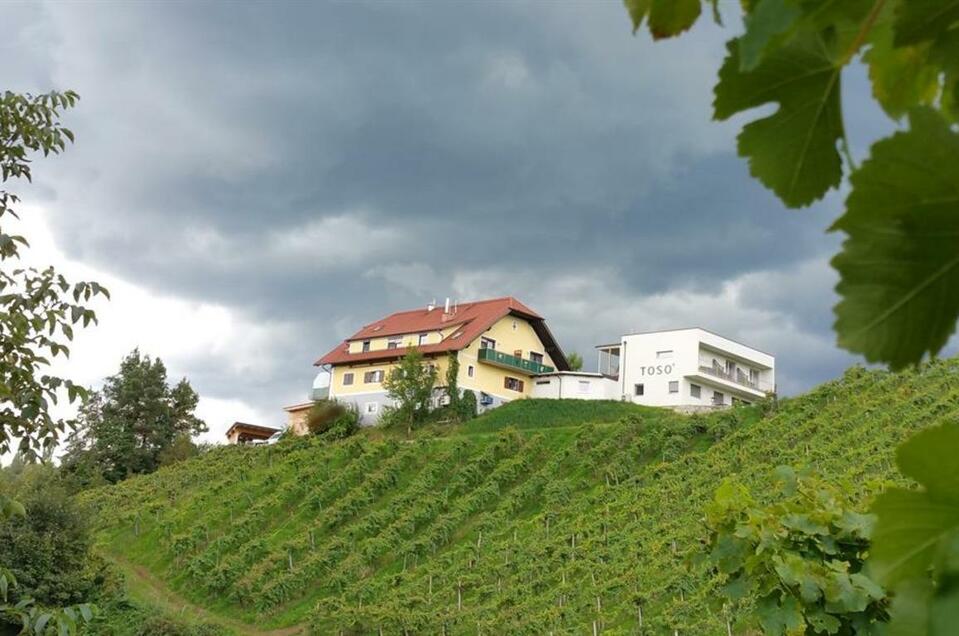 Weingut Toso - Impression #1 | © Weingut Toso l Stephan & Matthias Krainer