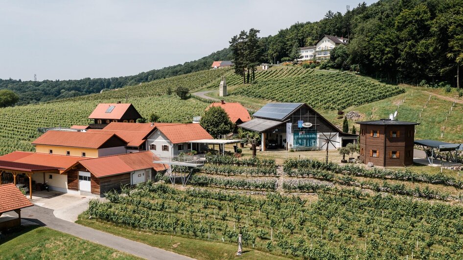 winery Triebl - Impression #2.7