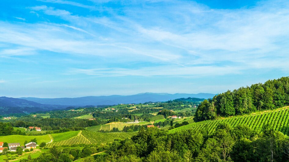 Weingut Tscheppe - Impression #2.2