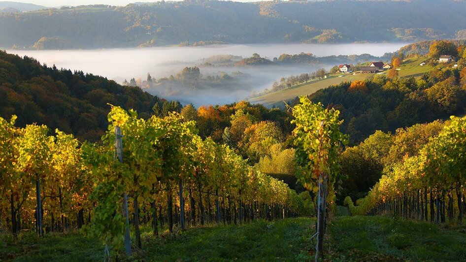 Weingut Buschenschank Wutti Landschaft | © Andreas Wutti | Weingut Buschenschank Wutti