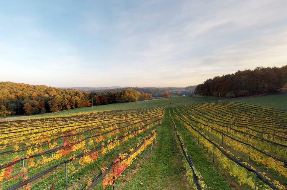 Winery Ramminger - Impression #1 | © Familie Ramminger