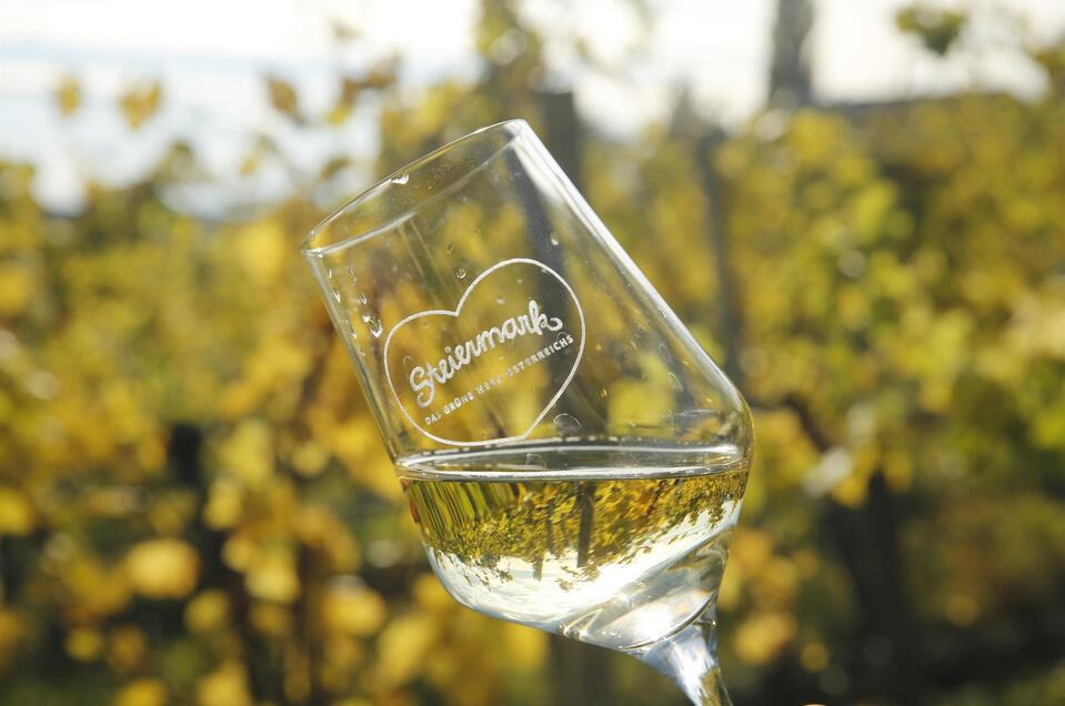 winery Don Leo - Family Ulrich in St. Anna/A. - Impression #1 | © Steiermark Tourismus