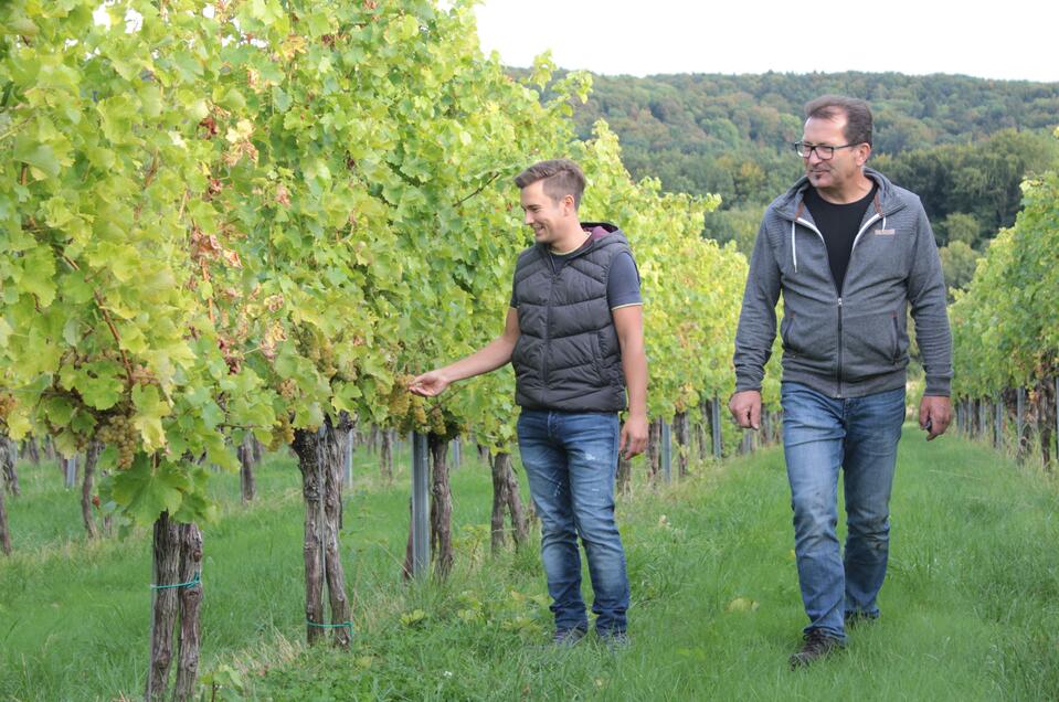 Weinhof Fauster - Impression #1 | © Weinhof Fauster