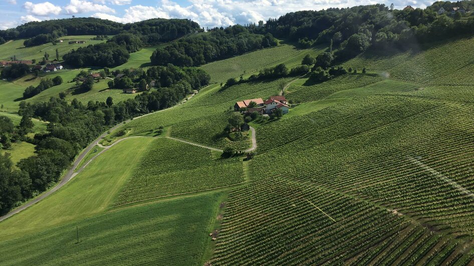 Weinhof Kugel Christian | © Weinhof Kugel