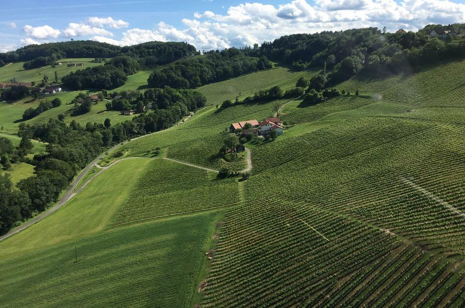 Weinhof Kugel Christian - Impression #1 | © Weinhof Kugel