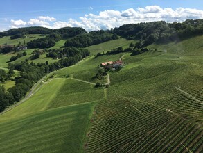 Weinhof Kugel Christian | © Weinhof Kugel