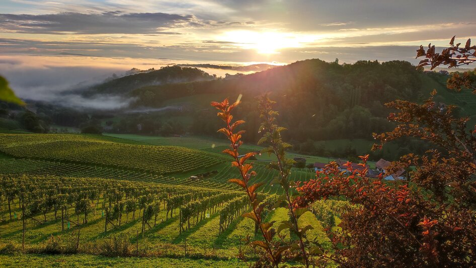 Landschaft | © Weinhof Kugel