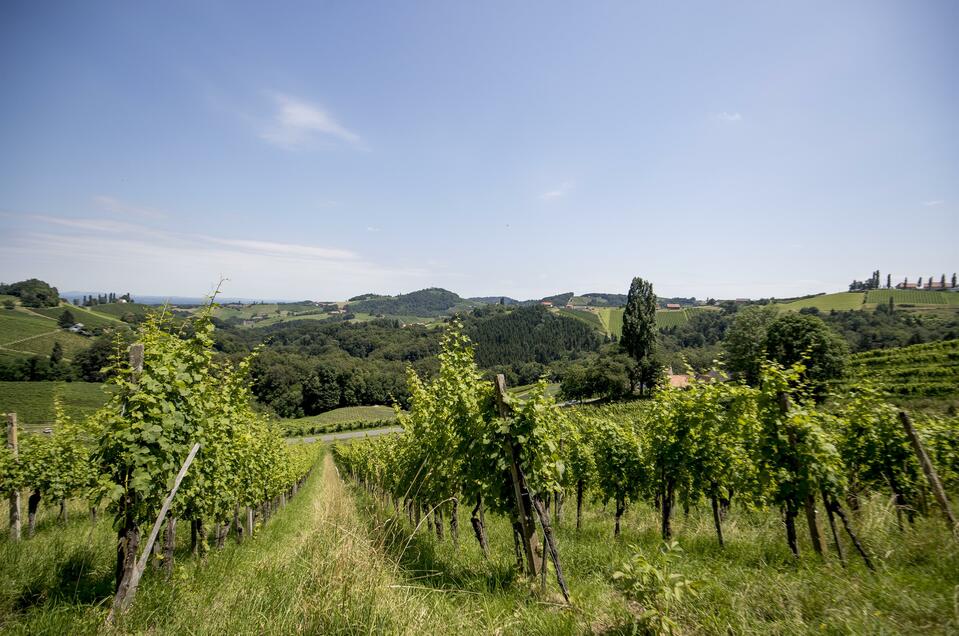 Weinhof Ortner- Streitfeldwirt - Impression #1 | © tom lamm