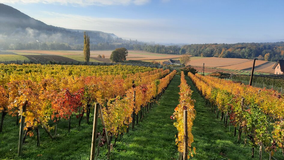 Herbst Aunberg | © Weinhof Thurner-Seebacher