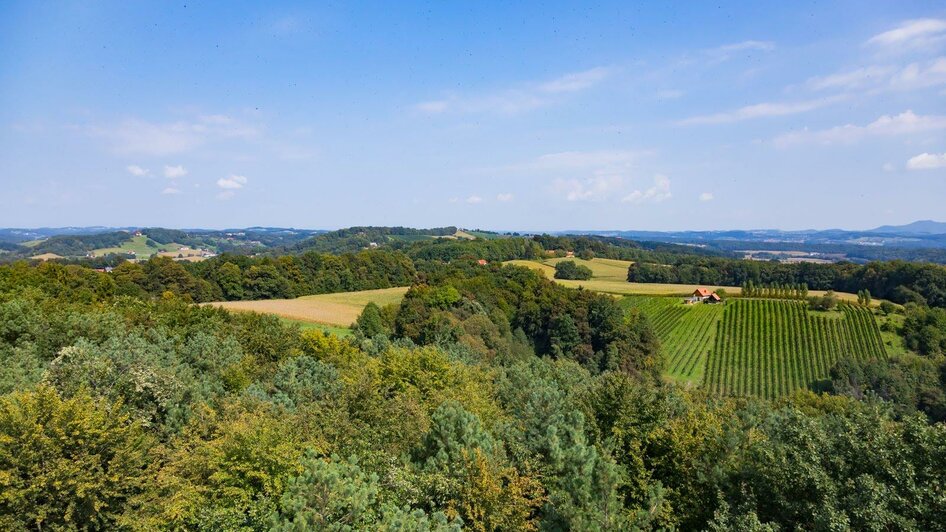 Blick von der Weinwarte | © TVB Thermen- & Vulkanland