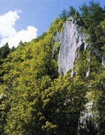 Weizklamm_Eastern Styria  | © Oststeiermark Tourismus | © Oststeiermark Tourismus