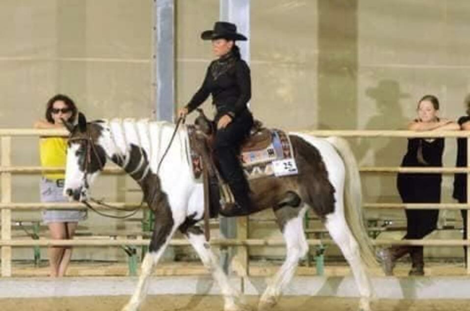 Westernreittraining - Impression #1 | © Tina Edenhofer